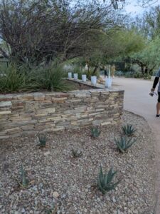 DBGLightBloomDec2024-7 image from Lightbloom exhibit at DBG winter 2024