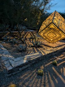 DBGLightBloomDec2024-70 image from Lightbloom exhibit at DBG winter 2024