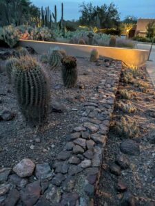 DBGLightBloomDec2024-71 image from Lightbloom exhibit at DBG winter 2024