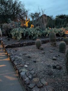 DBGLightBloomDec2024-72 image from Lightbloom exhibit at DBG winter 2024