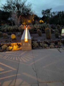 DBGLightBloomDec2024-73 image from Lightbloom exhibit at DBG winter 2024