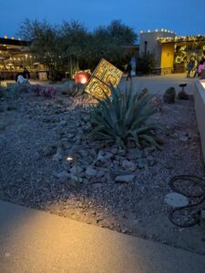 DBGLightBloomDec2024-74 image from Lightbloom exhibit at DBG winter 2024