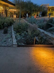 DBGLightBloomDec2024-77 image from Lightbloom exhibit at DBG winter 2024