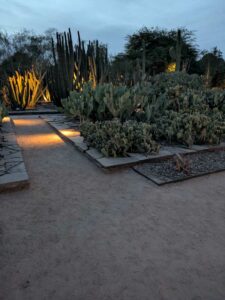 DBGLightBloomDec2024-78 image from Lightbloom exhibit at DBG winter 2024