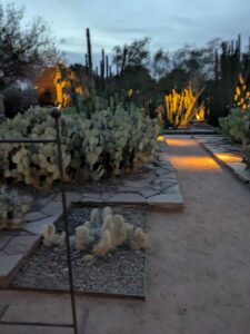 DBGLightBloomDec2024-80 image from Lightbloom exhibit at DBG winter 2024