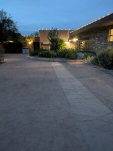 DBGLightBloomDec2024-81 image from Lightbloom exhibit at DBG winter 2024