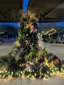 DBGLightBloomDec2024-86 image from Lightbloom exhibit at DBG winter 2024