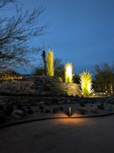 DBGLightBloomDec2024-88 image from Lightbloom exhibit at DBG winter 2024