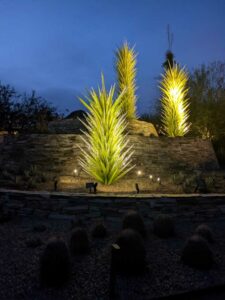 DBGLightBloomDec2024-89 image from Lightbloom exhibit at DBG winter 2024