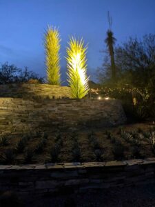 DBGLightBloomDec2024-90 image from Lightbloom exhibit at DBG winter 2024