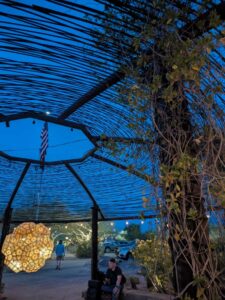 DBGLightBloomDec2024-91 image from Lightbloom exhibit at DBG winter 2024