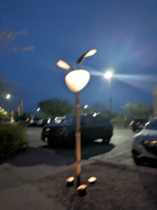 DBGLightBloomDec2024-92 image from Lightbloom exhibit at DBG winter 2024