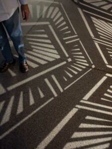 DBGLightBloomNov24-11 image from Lightbloom exhibit at DBG winter 2024