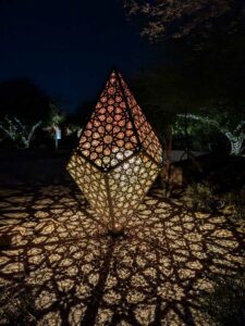 DBGLightBloomNov24-13 image from Lightbloom exhibit at DBG winter 2024