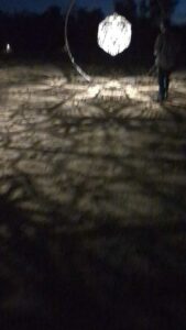 DBGLightBloomNov24-21.TS image from Lightbloom exhibit at DBG winter 2024