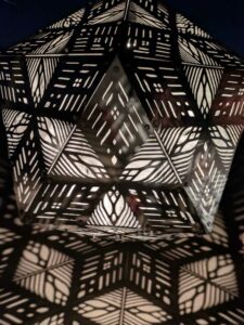 DBGLightBloomNov24-22 image from Lightbloom exhibit at DBG winter 2024