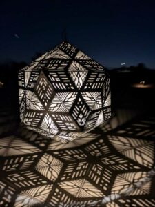 DBGLightBloomNov24-23 image from Lightbloom exhibit at DBG winter 2024