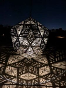 DBGLightBloomNov24-25 image from Lightbloom exhibit at DBG winter 2024