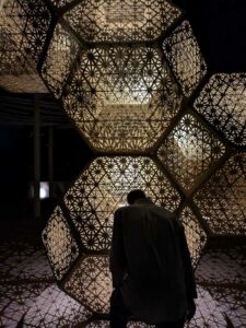 DBGLightBloomNov24-28 image from Lightbloom exhibit at DBG winter 2024