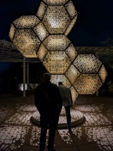 DBGLightBloomNov24-29 image from Lightbloom exhibit at DBG winter 2024