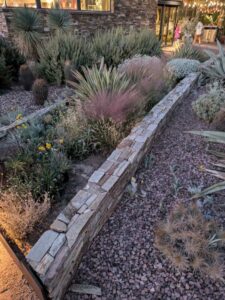 DBGLightBloomNov24-3 image from Lightbloom exhibit at DBG winter 2024