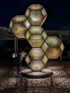 DBGLightBloomNov24-30 image from Lightbloom exhibit at DBG winter 2024