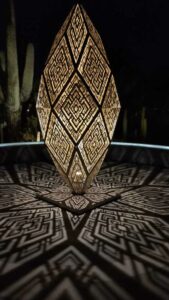 DBGLightBloomNov24-35.TS image from Lightbloom exhibit at DBG winter 2024