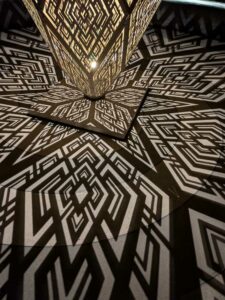 DBGLightBloomNov24-37 image from Lightbloom exhibit at DBG winter 2024