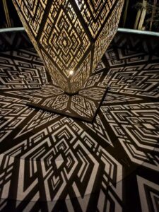 DBGLightBloomNov24-38 image from Lightbloom exhibit at DBG winter 2024