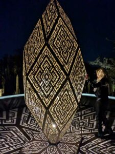 DBGLightBloomNov24-39 image from Lightbloom exhibit at DBG winter 2024