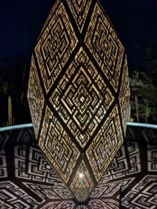 DBGLightBloomNov24-41 image from Lightbloom exhibit at DBG winter 2024