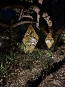 DBGLightBloomNov24-42 image from Lightbloom exhibit at DBG winter 2024