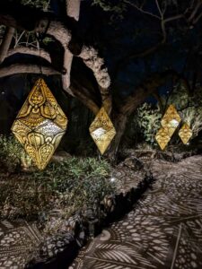 DBGLightBloomNov24-43 image from Lightbloom exhibit at DBG winter 2024