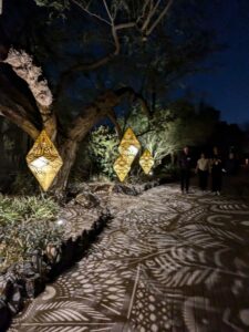 DBGLightBloomNov24-44 image from Lightbloom exhibit at DBG winter 2024