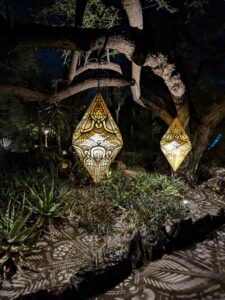 DBGLightBloomNov24-45 image from Lightbloom exhibit at DBG winter 2024