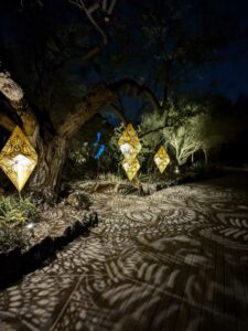 DBGLightBloomNov24-46 image from Lightbloom exhibit at DBG winter 2024