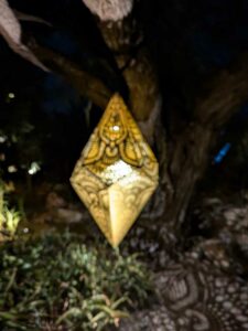 DBGLightBloomNov24-47 image from Lightbloom exhibit at DBG winter 2024