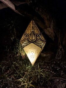 DBGLightBloomNov24-48 image from Lightbloom exhibit at DBG winter 2024