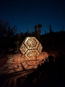 DBGLightBloomNov24-49 image from Lightbloom exhibit at DBG winter 2024