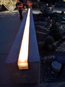 DBGLightBloomNov24-5 image from Lightbloom exhibit at DBG winter 2024