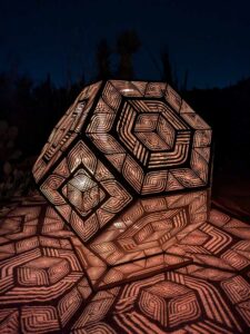 DBGLightBloomNov24-50 image from Lightbloom exhibit at DBG winter 2024