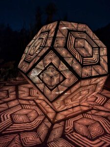 DBGLightBloomNov24-51 image from Lightbloom exhibit at DBG winter 2024