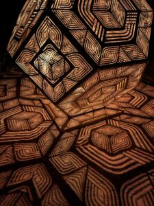 DBGLightBloomNov24-52 image from Lightbloom exhibit at DBG winter 2024