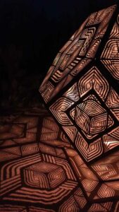 DBGLightBloomNov24-53.TS image from Lightbloom exhibit at DBG winter 2024