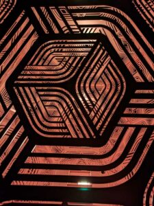 DBGLightBloomNov24-54 image from Lightbloom exhibit at DBG winter 2024