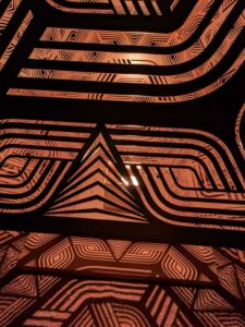 DBGLightBloomNov24-55 image from Lightbloom exhibit at DBG winter 2024