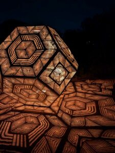 DBGLightBloomNov24-57 image from Lightbloom exhibit at DBG winter 2024