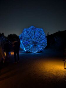 DBGLightBloomNov24-58 image from Lightbloom exhibit at DBG winter 2024