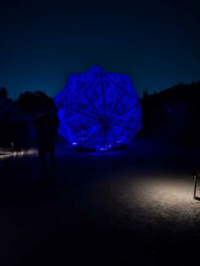 DBGLightBloomNov24-59 image from Lightbloom exhibit at DBG winter 2024