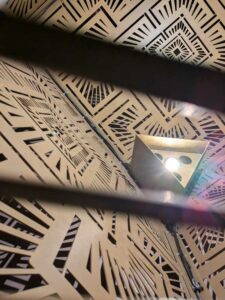 DBGLightBloomNov24-6 image from Lightbloom exhibit at DBG winter 2024